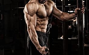 Image result for tricep free picture